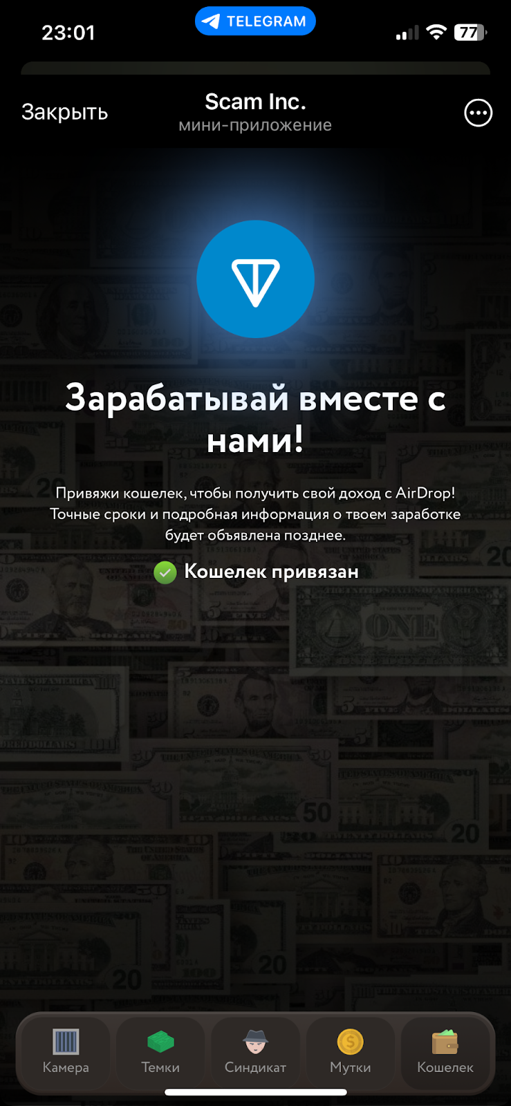 scam inc вывод scam inc вывод