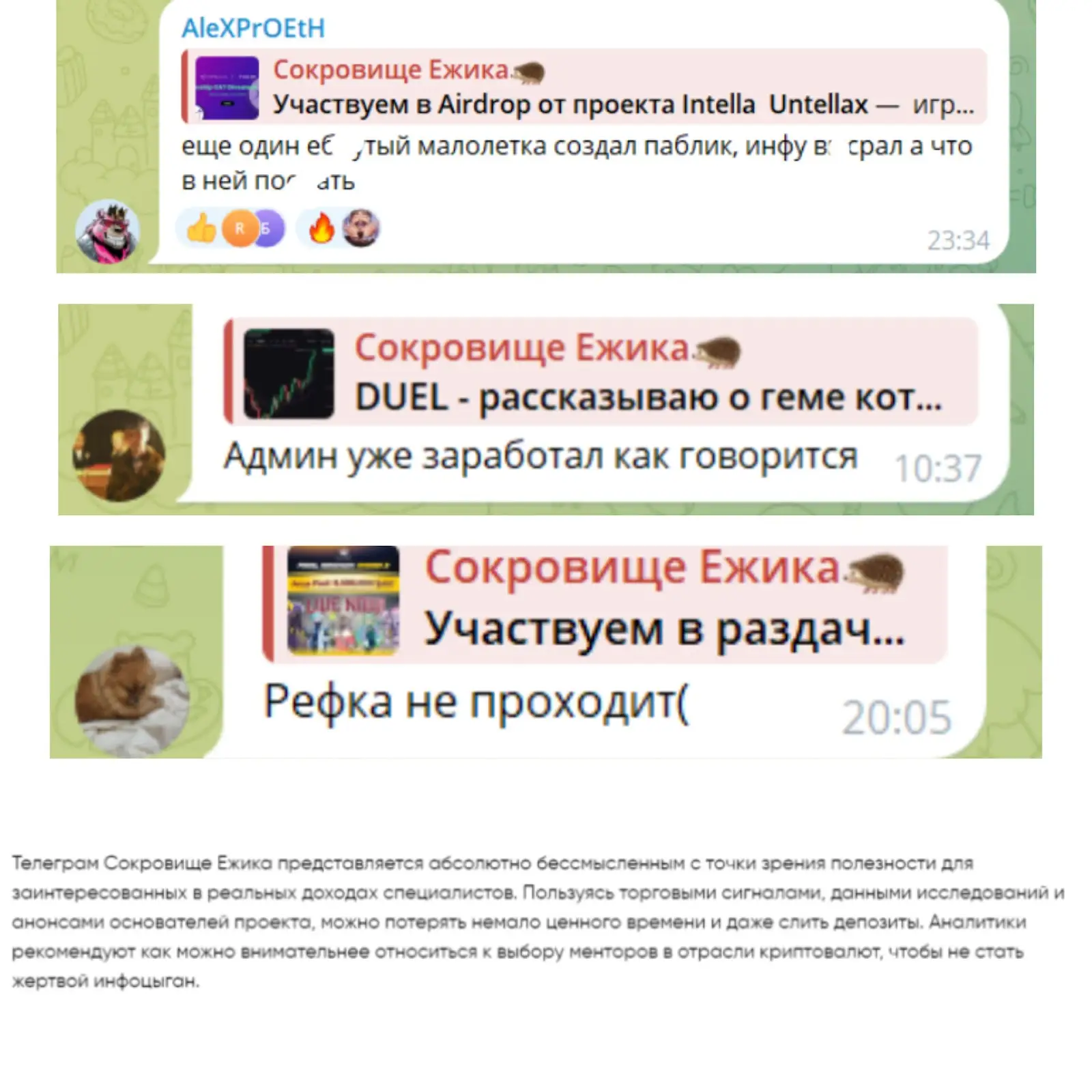 Сокровище ежика Сокровище ежика