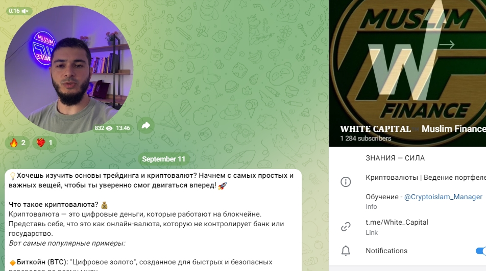 white capital white capital
