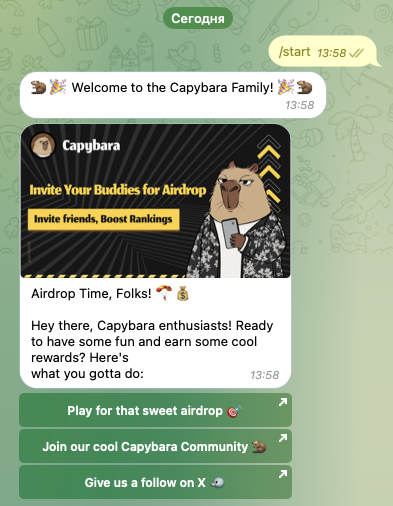 capybara meme телеграм capybara meme телеграм