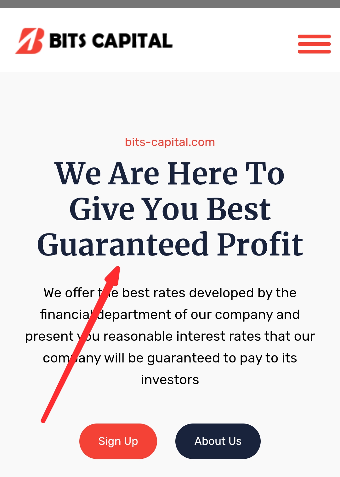 bits capital com bits capital com