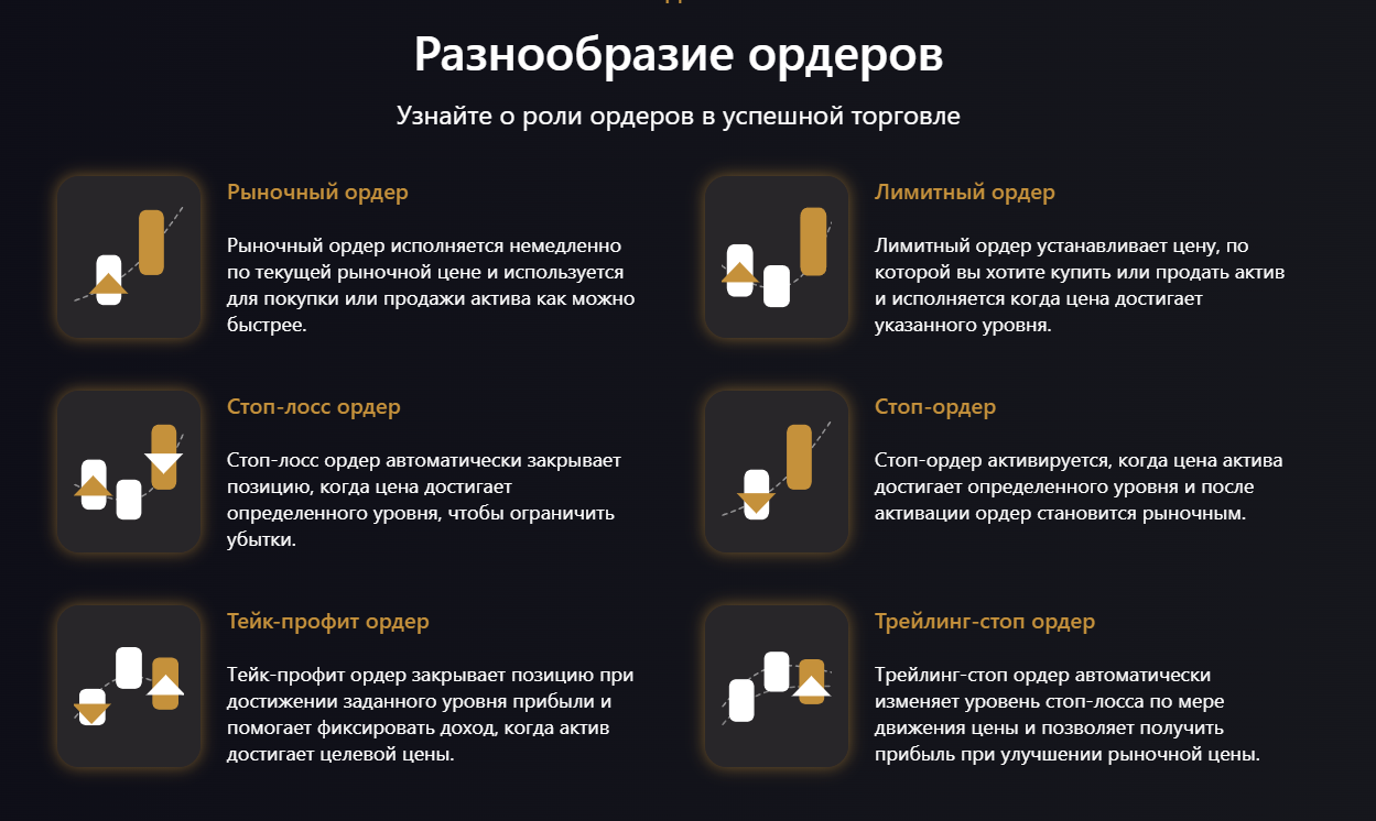 равиток про отзывы равиток про отзывы