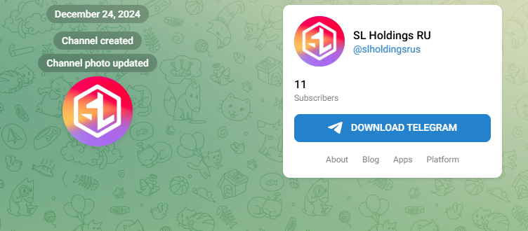Sl Holdings Corporation Sl Holdings Corporation