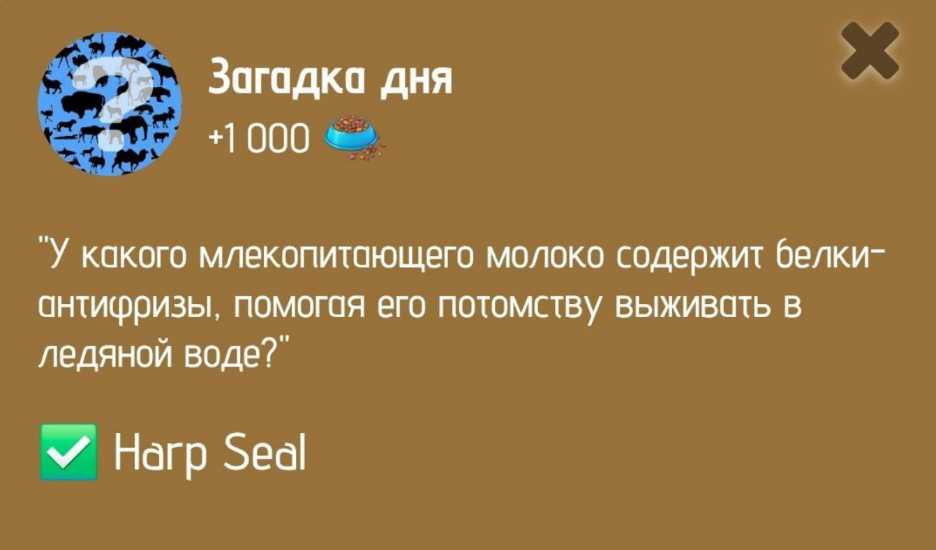 Zoo комбо дня Zoo комбо дня