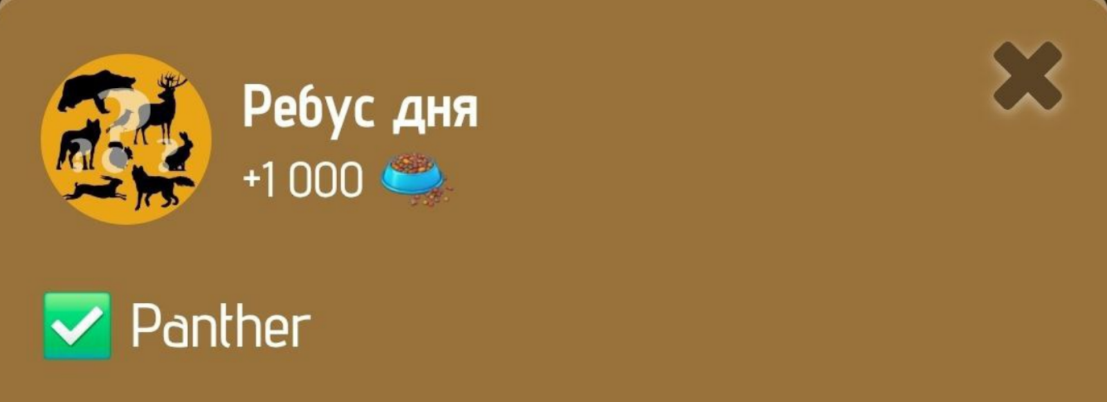 Zoo комбо дня Zoo комбо дня
