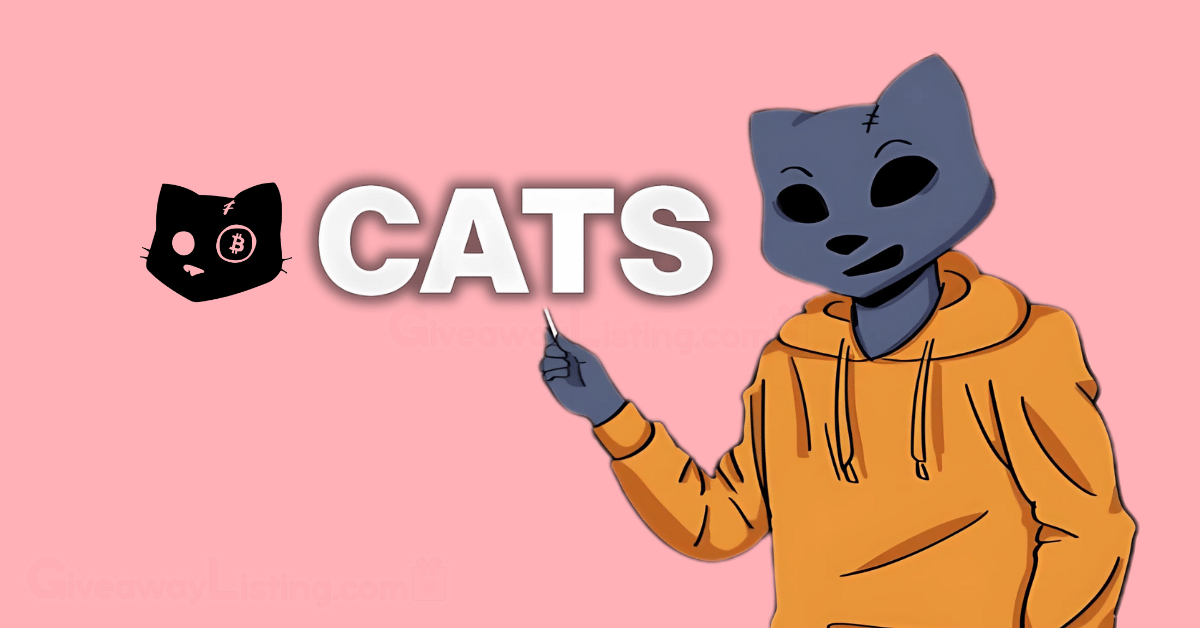 Cats комбо дня Cats комбо дня