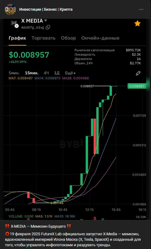 Crypto Lady Crypto Lady