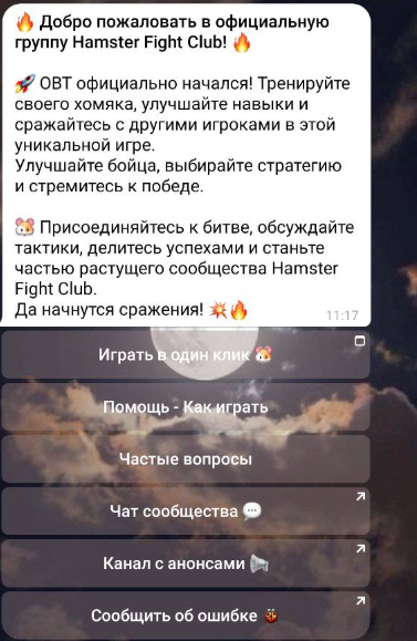 хамстер файт клуб хамстер файт клуб