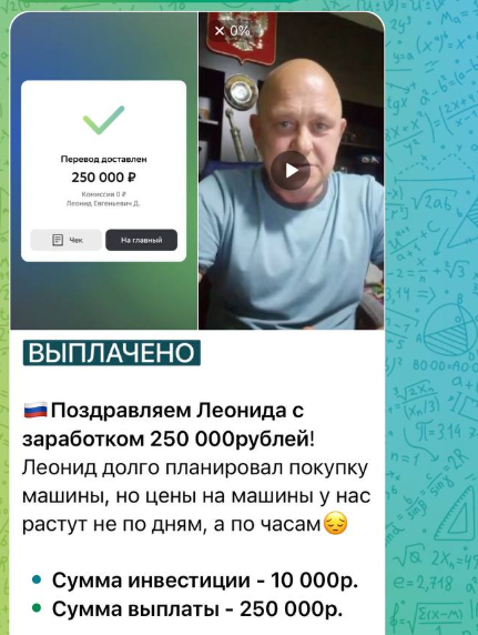 olga trader olga trader