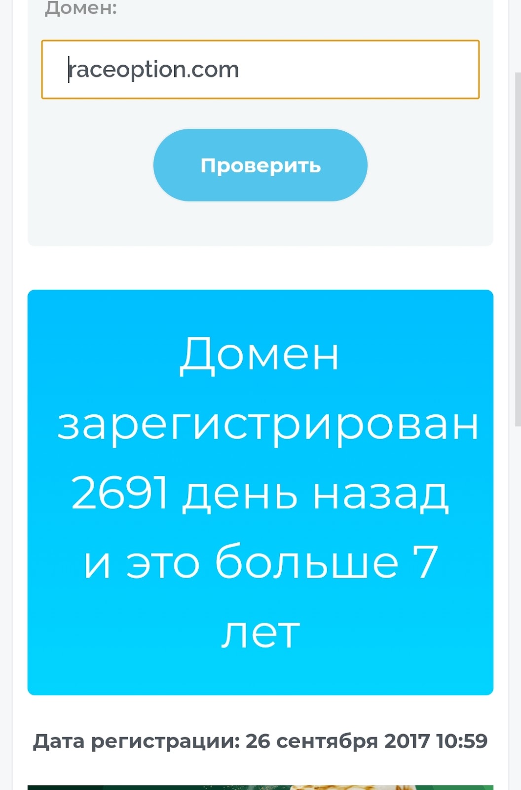 support RaceOption com support RaceOption com