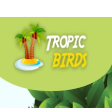 Tropic Birds