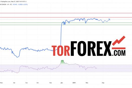 Прогноз Доллар Сомони USD/TJS на 27 февраля 2025