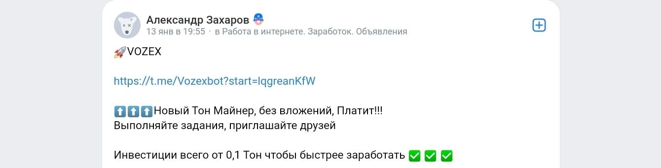 vozex vozex
