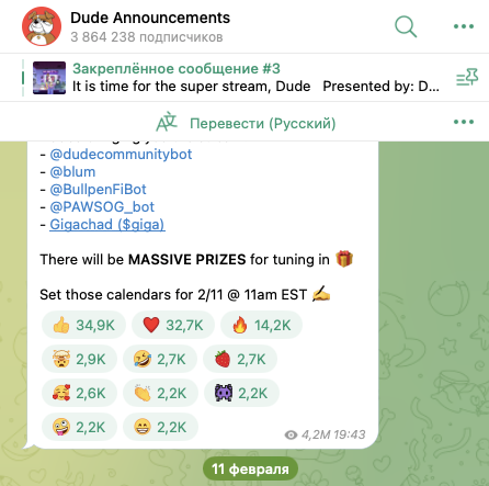 бот dudecommunitybot бот dudecommunitybot