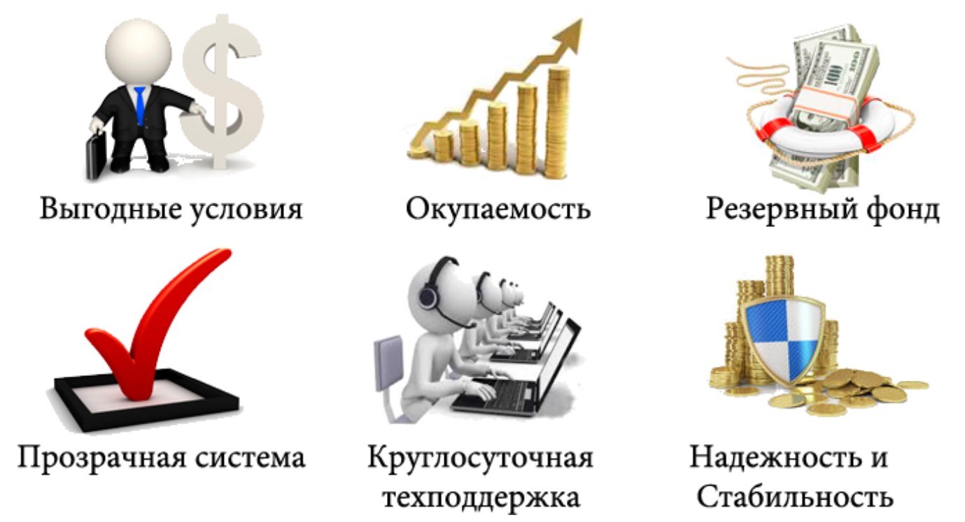 чикенс фарм чикенс фарм