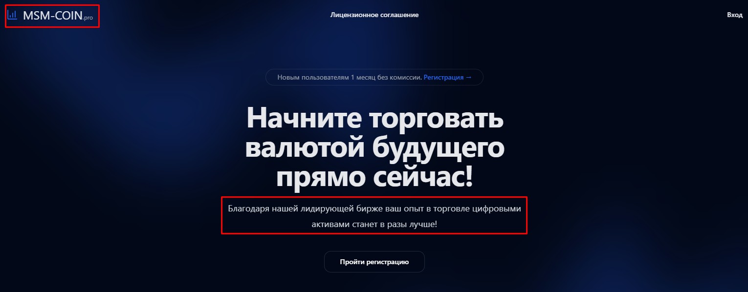 msm coin отзывы msm coin отзывы