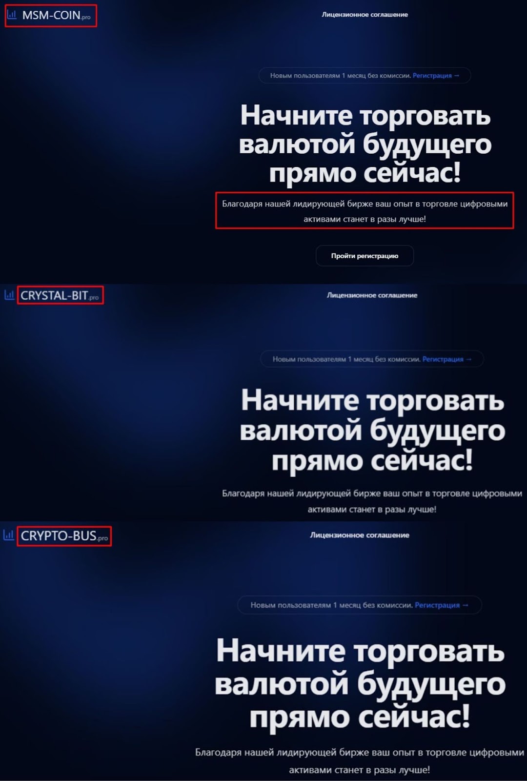 msm coin pro отзывы msm coin pro отзывы