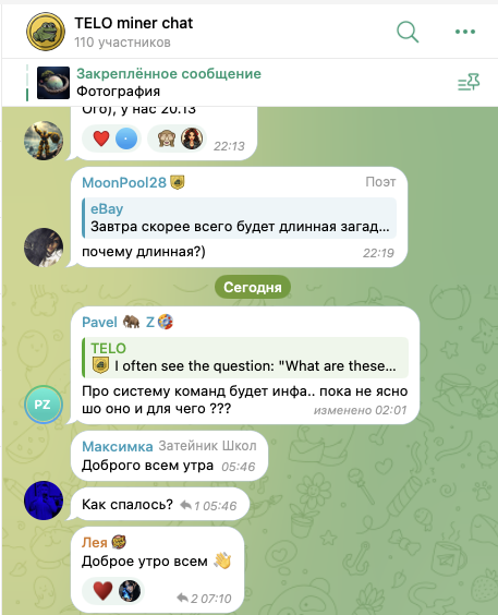 telo support telo support