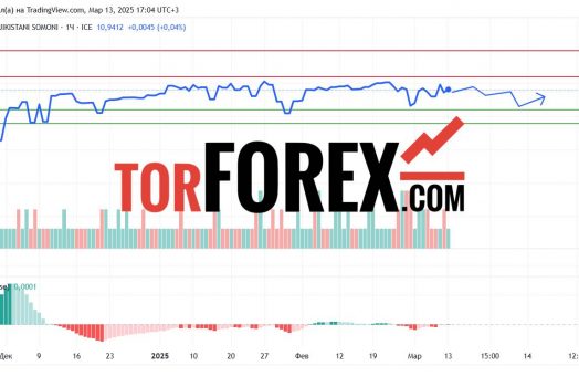 Прогноз Доллар Сомони USD/TJS на 14 марта 2025
