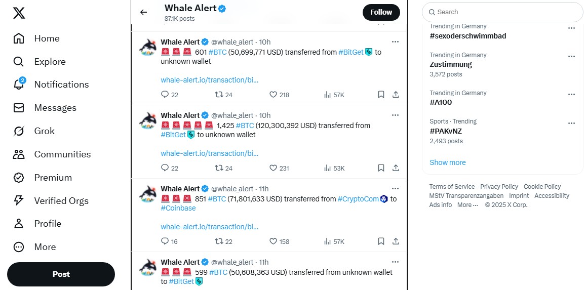 whale alert как пользоваться whale alert как пользоваться