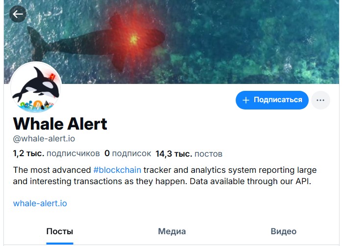 whale alert отзывы whale alert отзывы