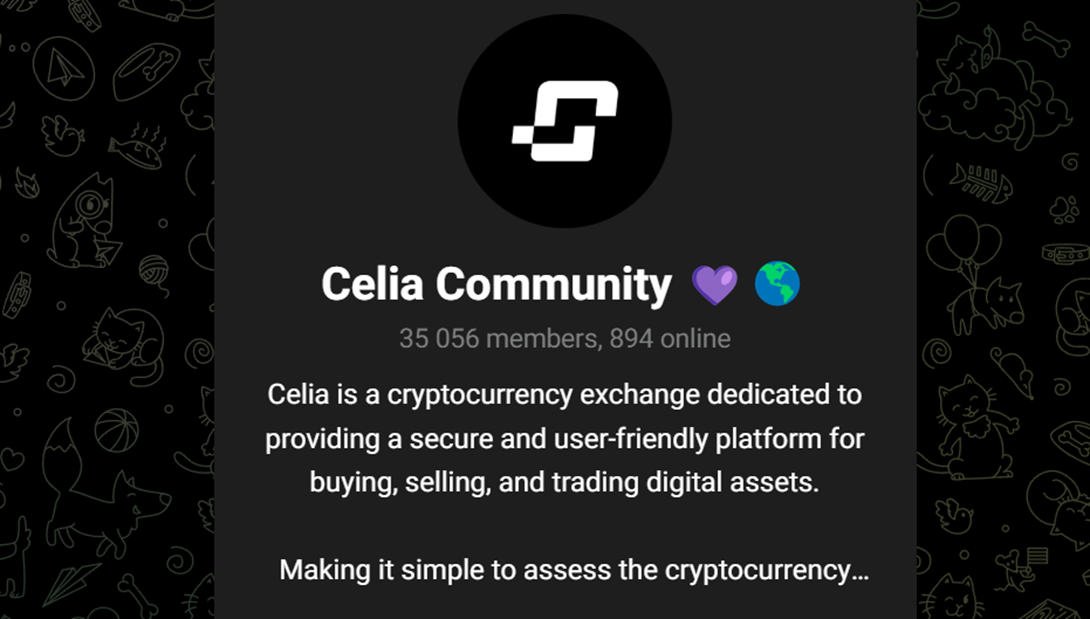 celiaexchange отзывы celiaexchange отзывы