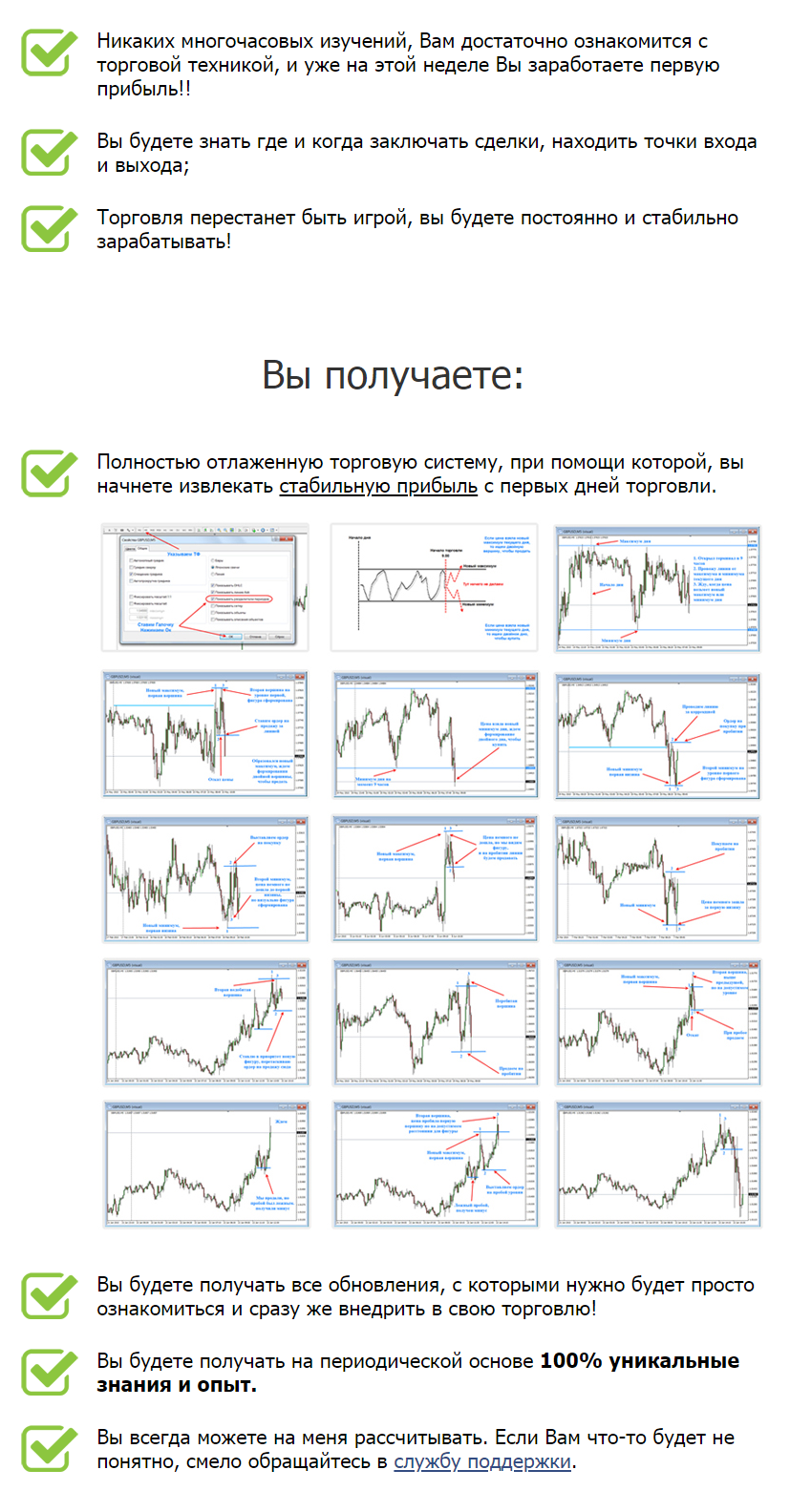 антон сохарев антон сохарев