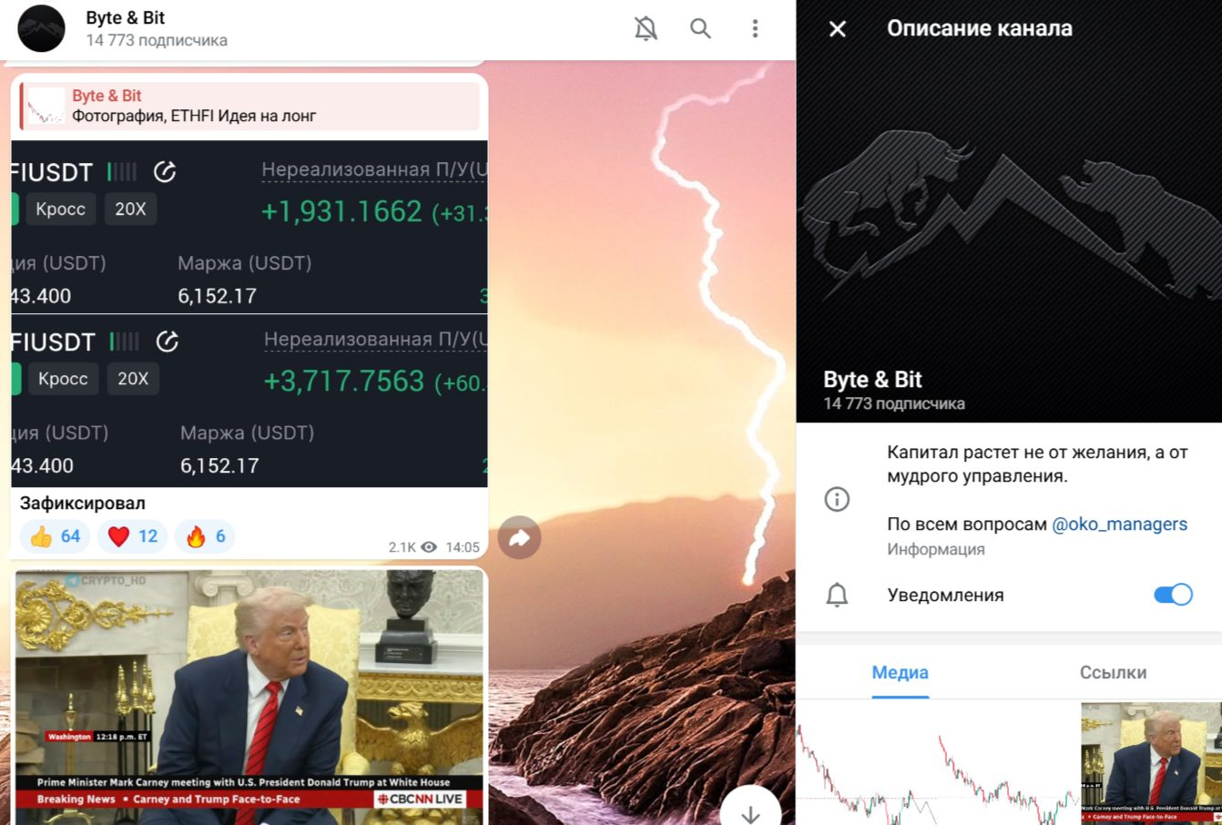 byte bit тг byte bit тг