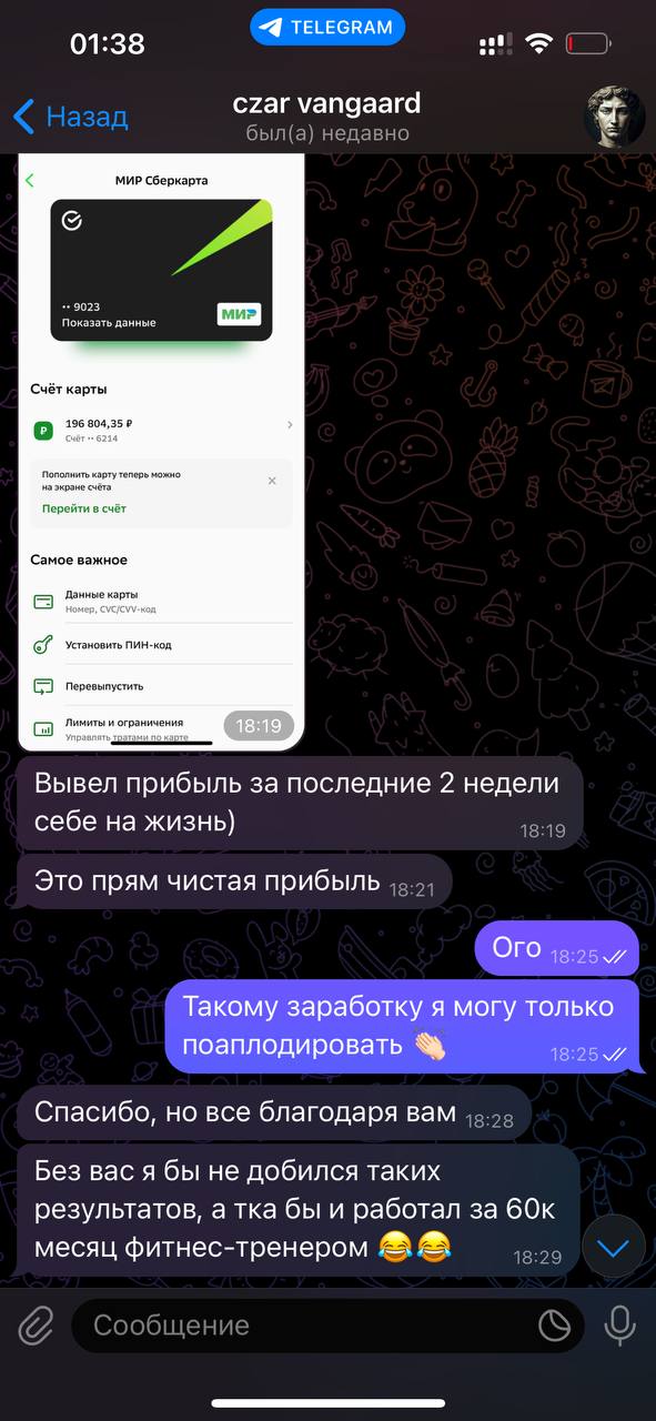 Лина Покет Опшен Лина Покет Опшен