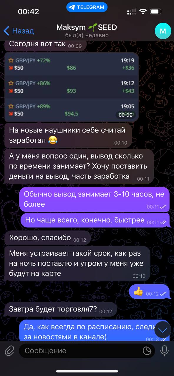 Лина Покет Оупшен Лина Покет Оупшен