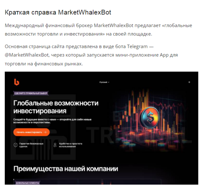 marketwhalexbot marketwhalexbot