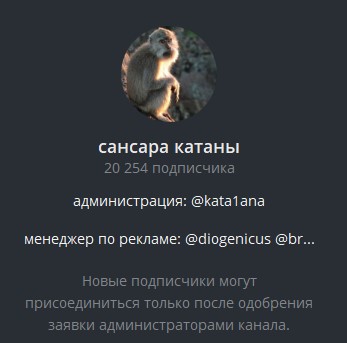 ректуемся с катаной ректуемся с катаной
