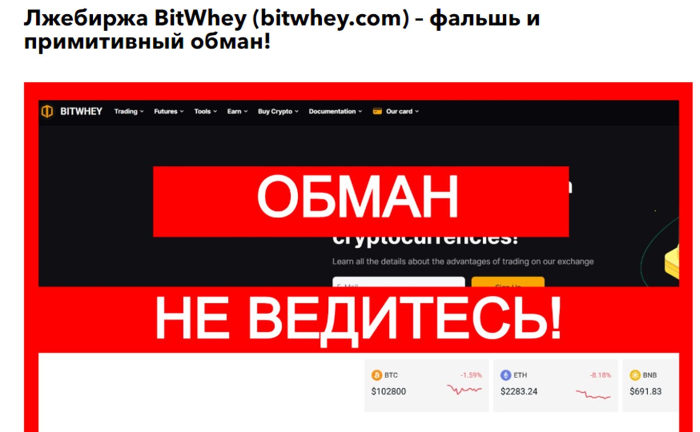 Bitwhey Bitwhey