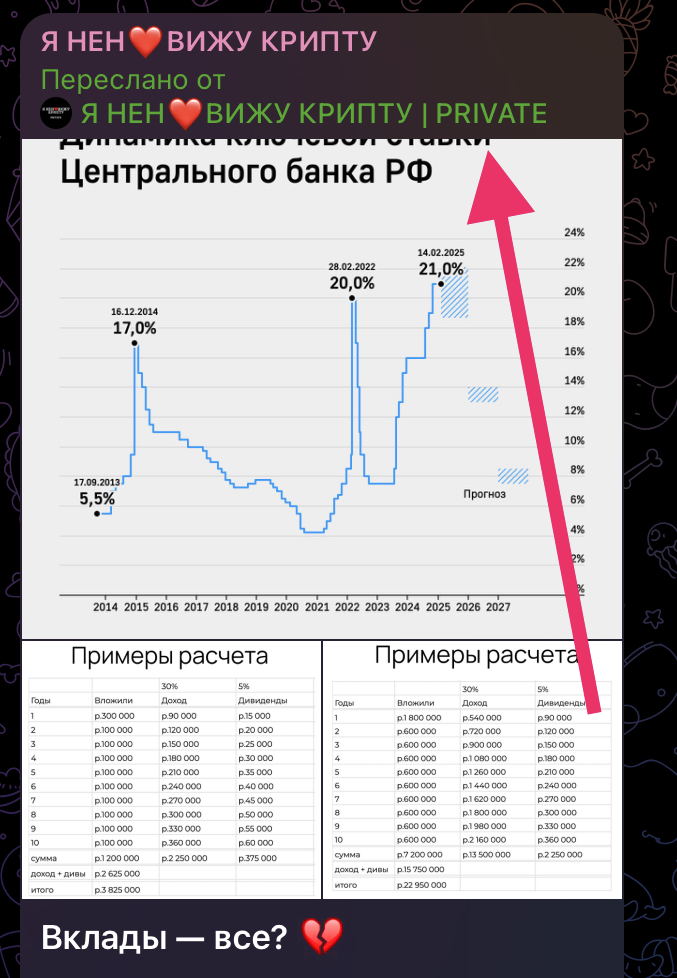 levisin levisin