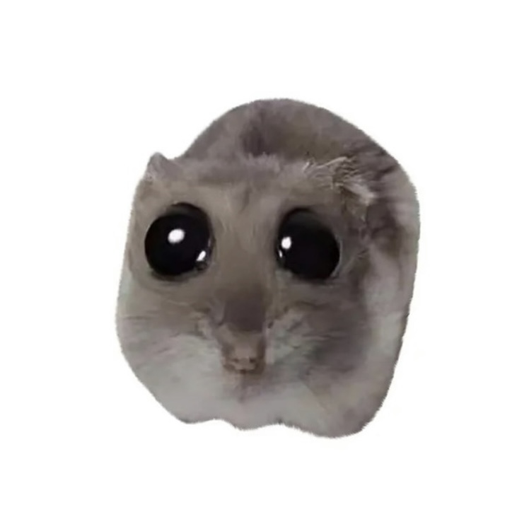 Notsadhamster