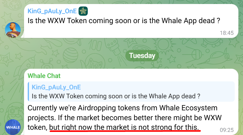 the whale app bot the whale app bot