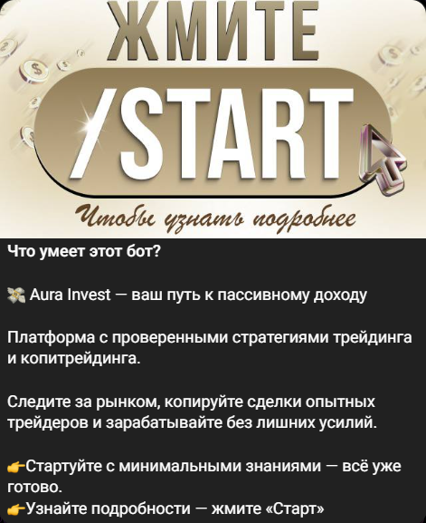 aura invest aura invest