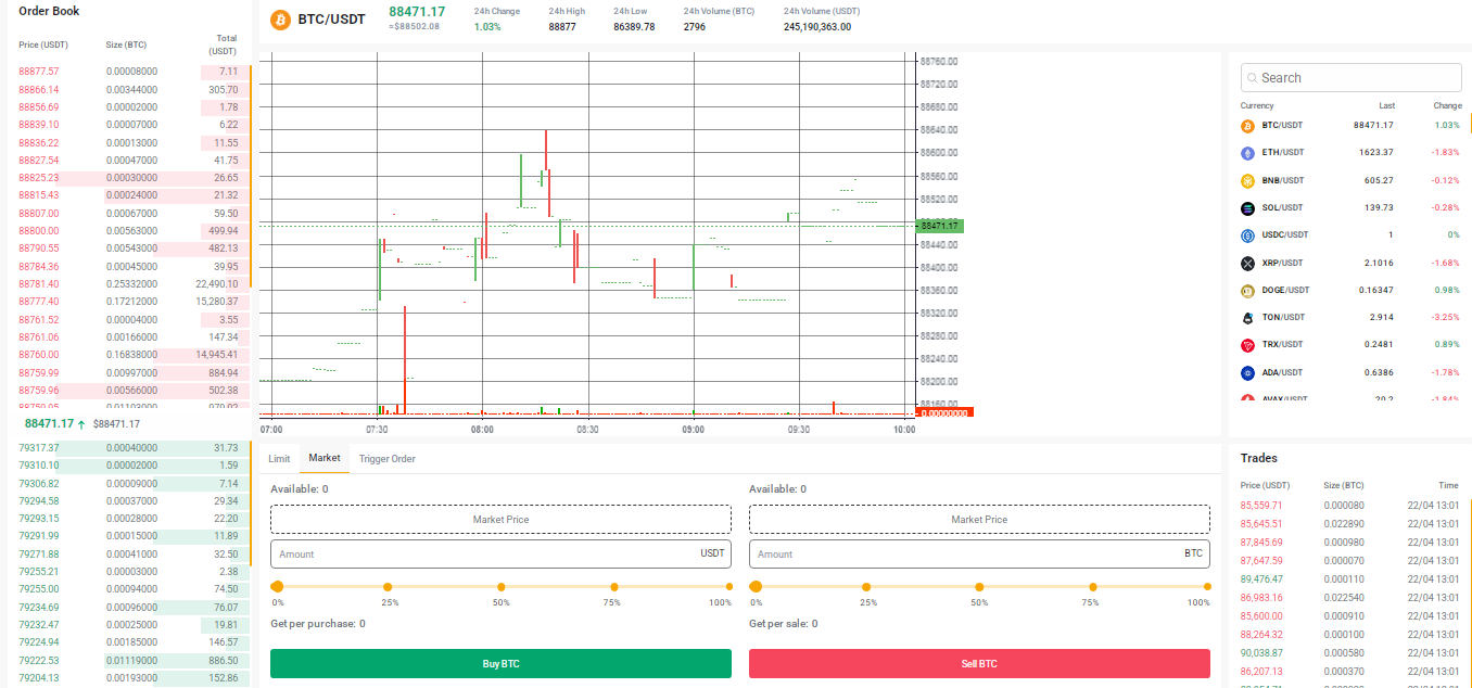 Bitcity Bitcity