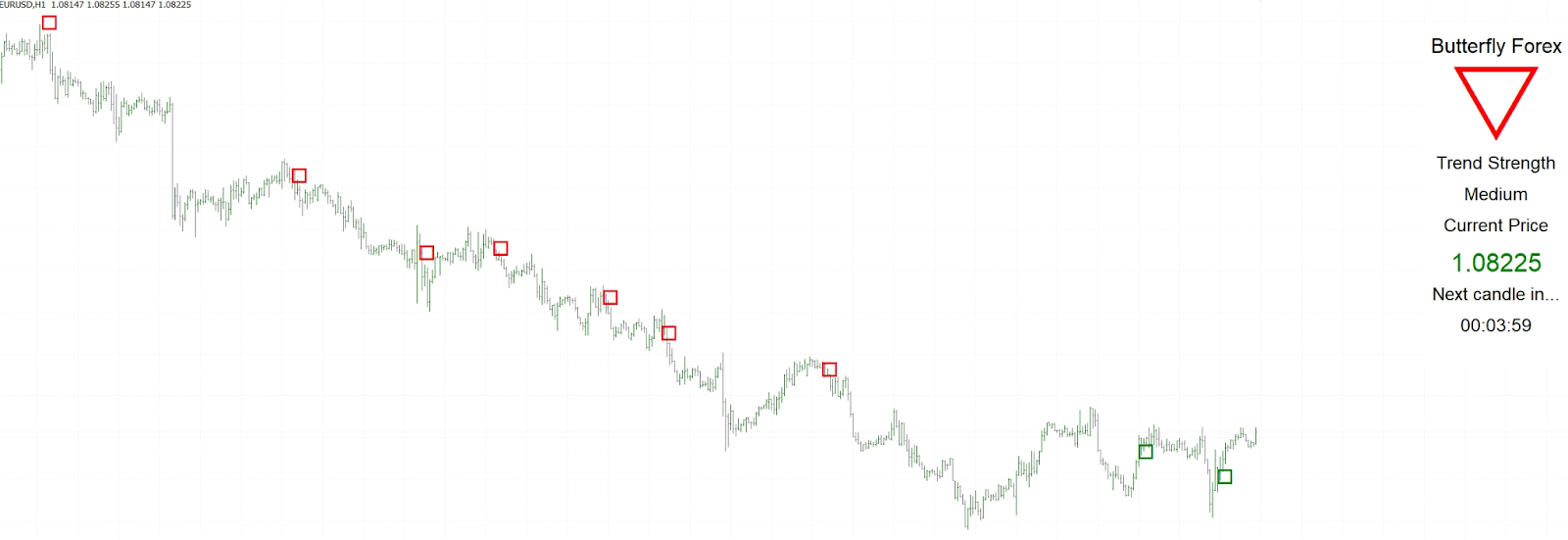 Butterfly Forex Butterfly Forex