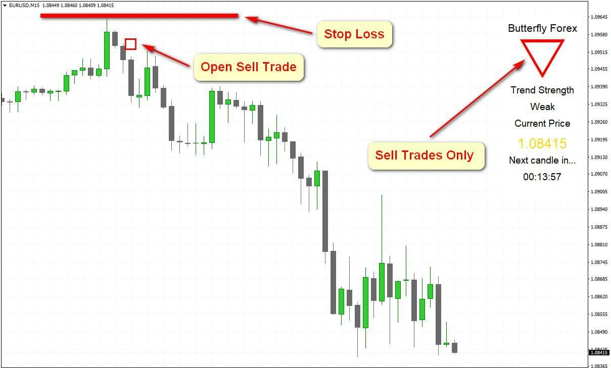 Butterfly Forex программа Butterfly Forex программа