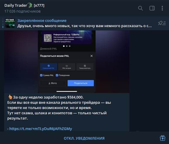 дейли трейдер дейли трейдер