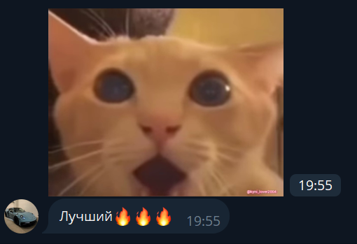 koinophobia adm koinophobia adm