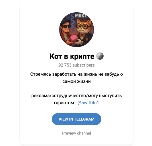 Кот в крипте Кот в крипте