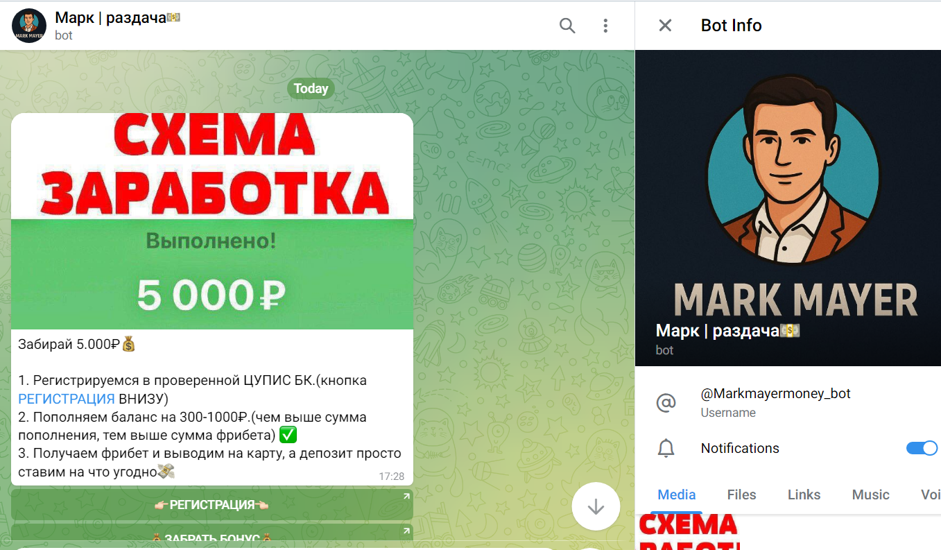 markmayermoney bot markmayermoney bot