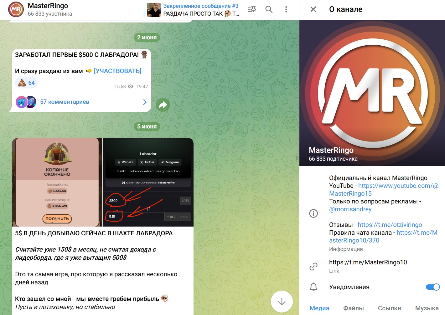 мастер ринго заработок в интернете мастер ринго заработок в интернете