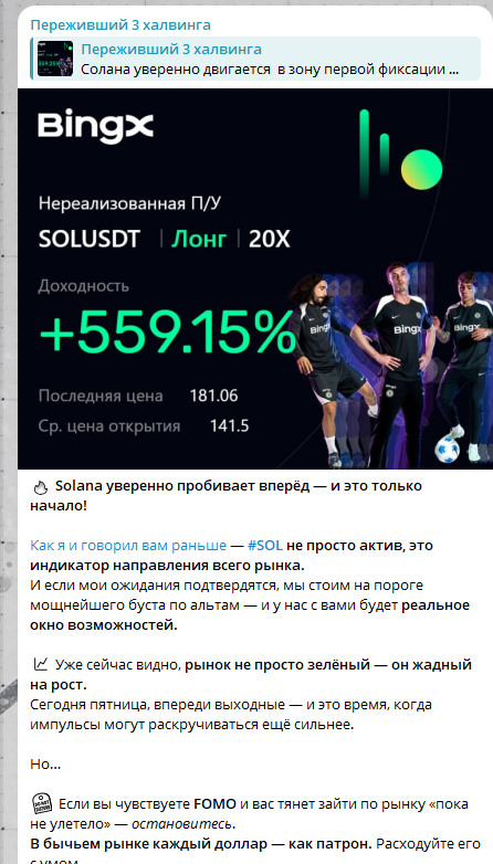 переживший три халвинга тг переживший три халвинга тг