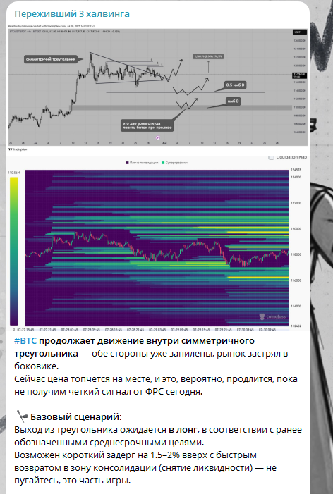 переживший три халвинга тг переживший три халвинга тг
