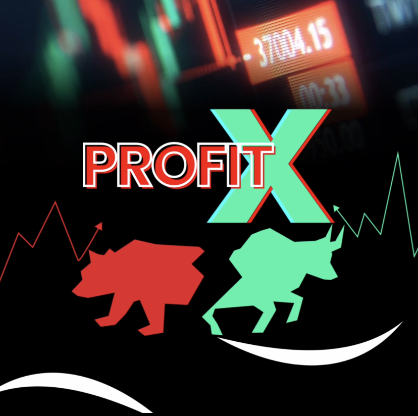 profit x profit x