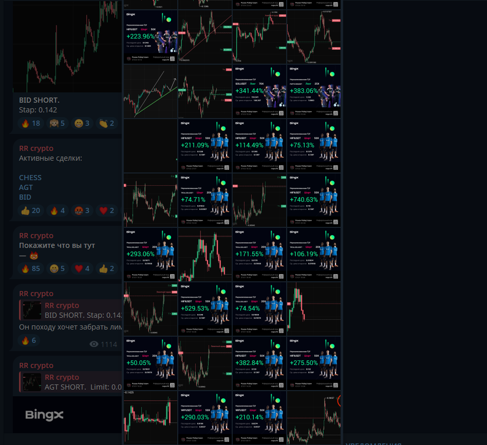 rr crypto телеграм rr crypto телеграм