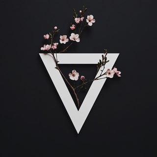 Shadowsocks / Vpn